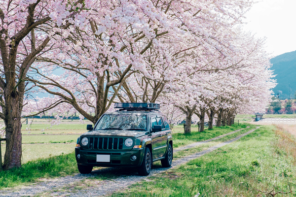 春の運転！気をつけるべきこととは？