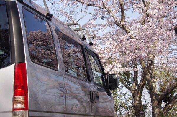 春の洗車